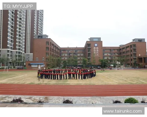 成都篮球队心理素质排名第十揭示球队背后的心理训练与成长之路