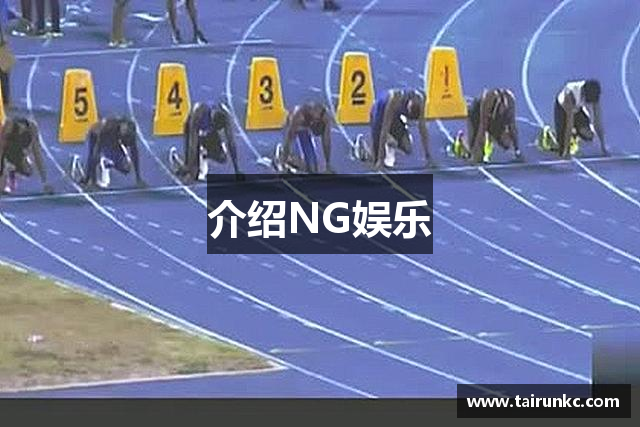 介绍NG娱乐